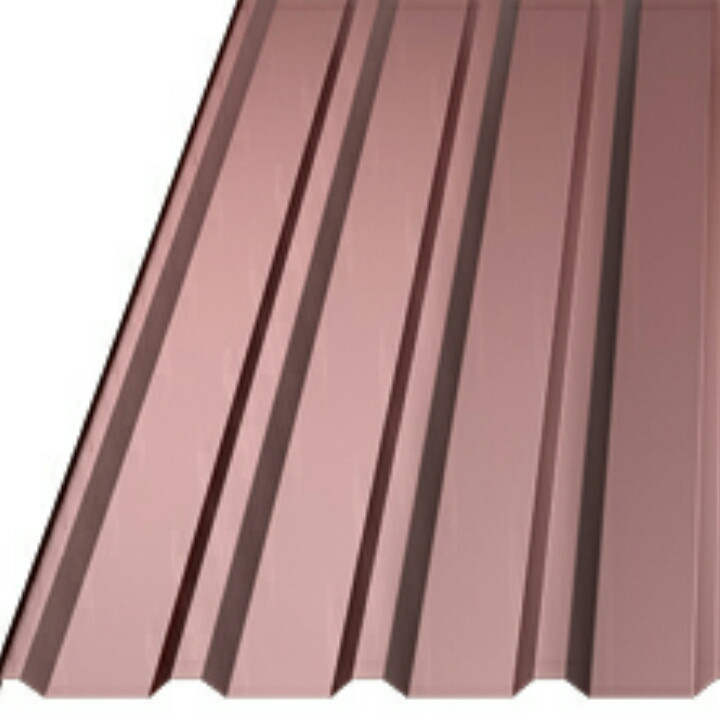 Профільований настил із полімерним покриттям Пс 20 0.4 мм