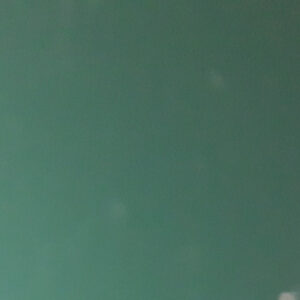 Гладкий лист 0,45 мм RAL 6005 Алюцинк із полімерним покриттям