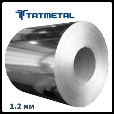 Аркуш оцинкований TATMETAL ⁇ mm 1.2