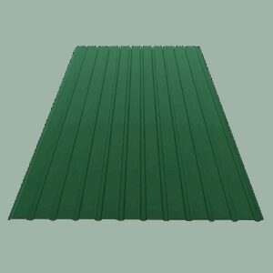 Профнастил Він-Скіф ПС-10 0,37 мм RAL