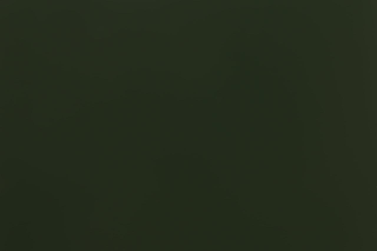 Алюмінієва композитна панель Albond® 7000 / 4-04 / SOLID / RAL 6020 Chrome Green